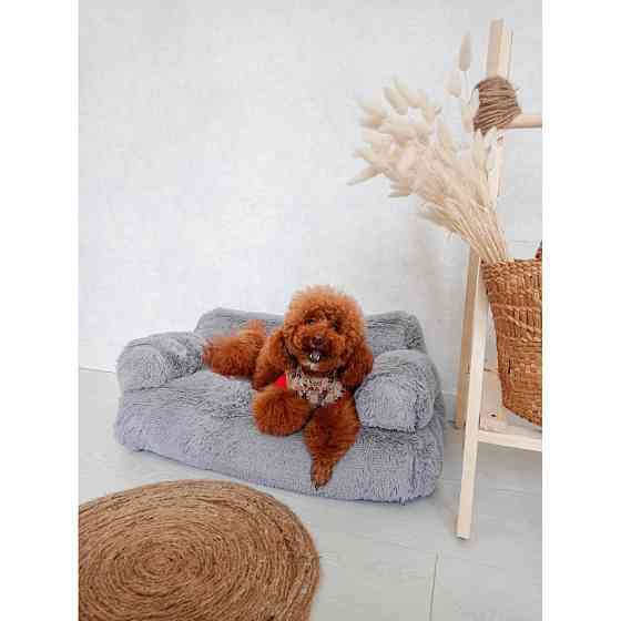 Хутряний диван лежак для собак і кішок спальне місце для тварин знімни Incor сірий 10079 Київ