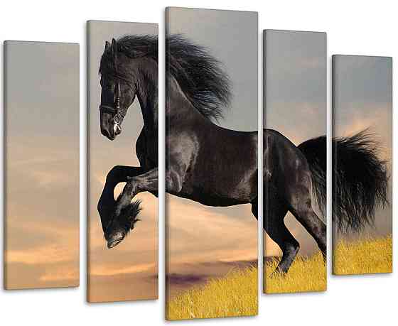 Модульна картина Чорний Кінь Art-85_5 Київ