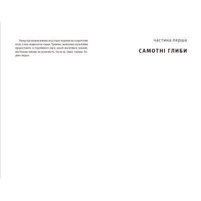 Книга Її порожні місця - Анна Грувер Видавництво Старого Лева (9789664480502) Винница - изображение 5