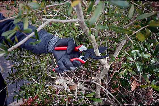 Секатор садовий обвідний ручний MILWAUKEE 4932498621 Одеса