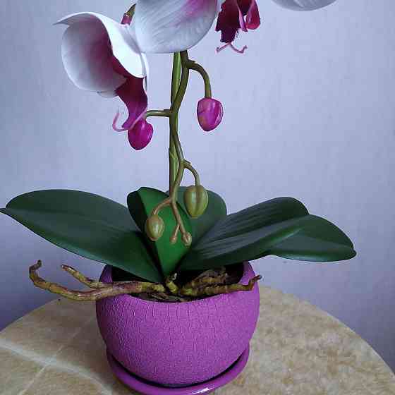 Штучна латексна орхідея VIP у малиновому керамічному кашпо на одну гілку біло-бузкова Дніпро