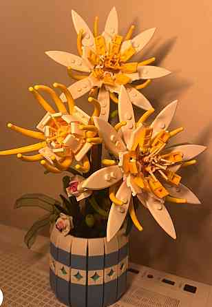 Конструктор по   квітка бонсай. Харків