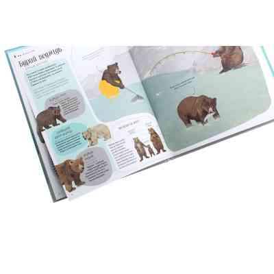 Книга Ведмежа книга - Кейті Віґґерс Жорж (9786177579624) Вінниця