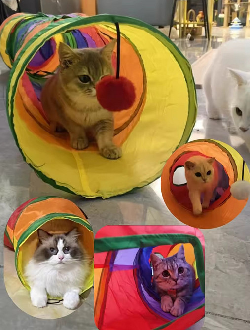 Набор для котов разными игрушками и тунелем 21 шт разноцветный Киев - изображение 4