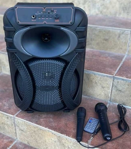 Портативная колонка аккумуляторная с 2️⃣ микрофономи. Харьков - изображение 6