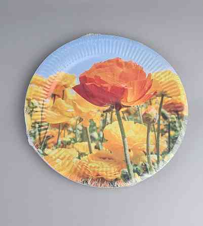 Тарілка паперова 23 см "No58 10 шт (1 пачка) Харків