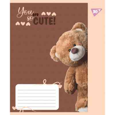 Тетрадь Yes You are cute А5 24 листов клетка (767896) Винница