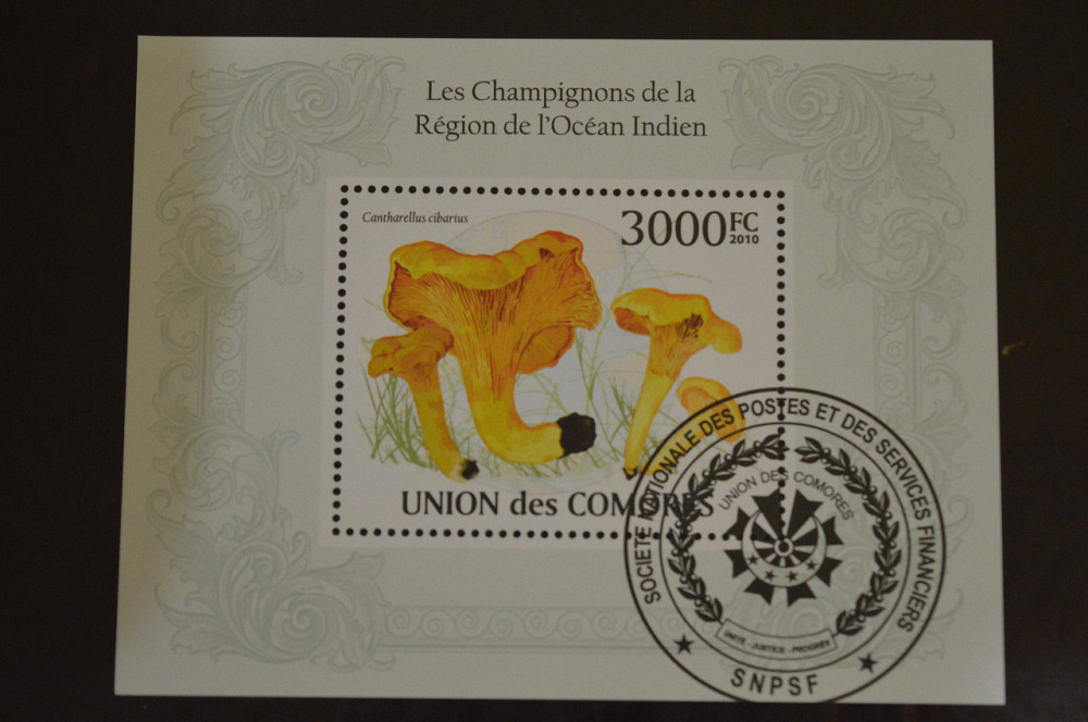 Коморы. Марки. Фауна. Блок. 2010 год (В-5) Полтава - изображение 1