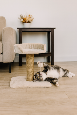 Дряпка Trixie Мica для котів 45х35х46 см світло-сіра Київ