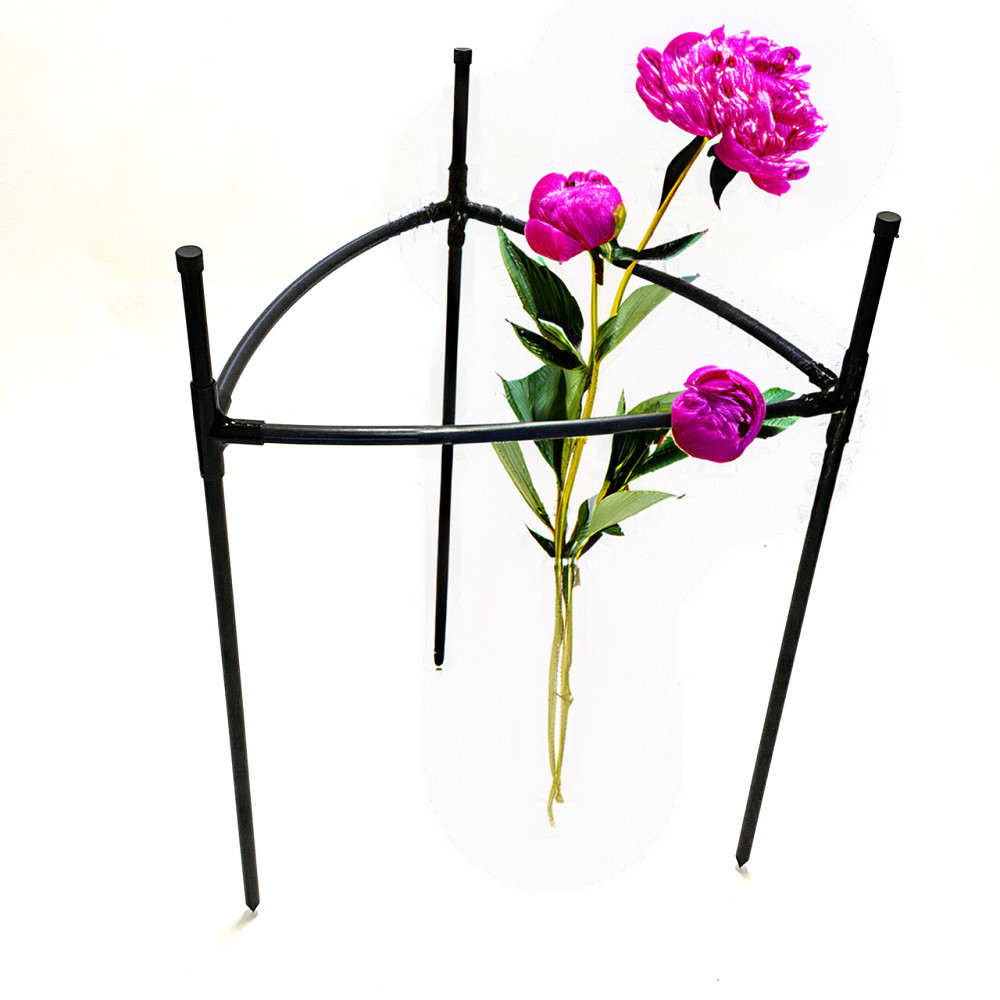 Кільцева опора для півонії, гортензій, троянд Pivonia 2. Кущотримач H800хD500 для рослин та квітів. Борисполь - изображение 2