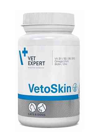 Пищевая добавка VetExpert VetoSkin (ВетоСкин) здоровая кожа и шерсть у кошек и собак 60 капсул срок 05.26 Винница
