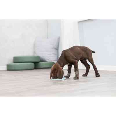 Посуд для собак Trixie Миска «Junior» для повільного годування 21 см (м'ятний) (4011905349589) Вінниця