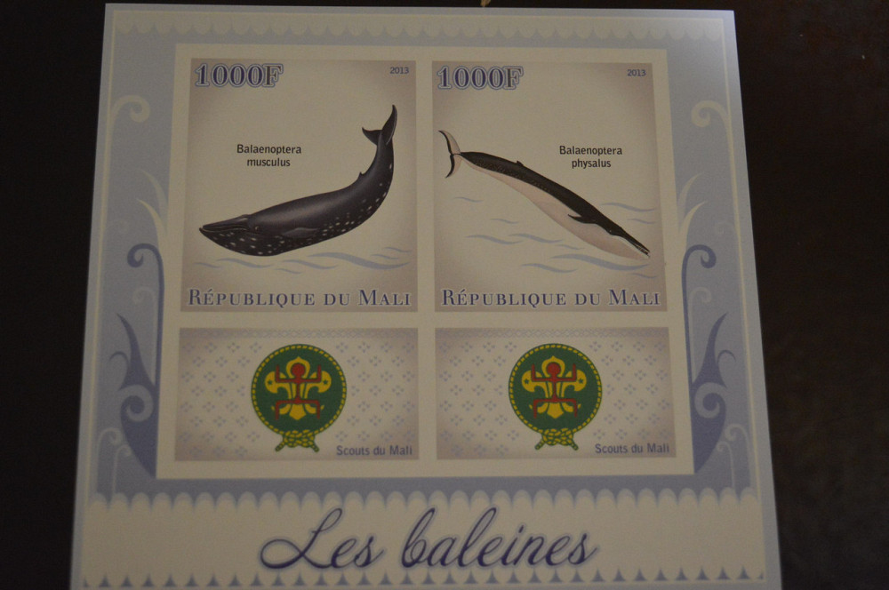 Мали. Фауна. Блок. 2014 год (А-20) Полтава - изображение 1