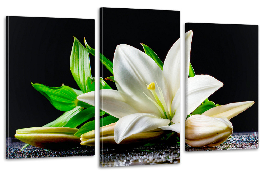 Модульная картина в гостиную / спальню  Біла Лілія Art-646_3 70x130 см Киев - изображение 1