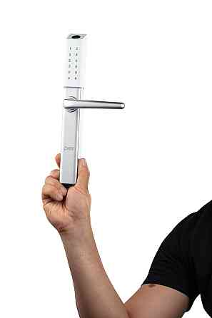 PES Ford silver розумний замок з вузьким корпусом Київ