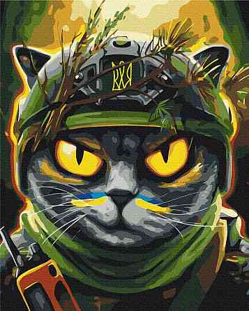 Котик розвідник ©Марінна Пащук Київ