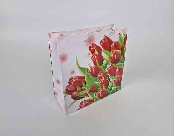 Пакет бумажный подарочный квадратный 23*24*10(артKV-056) (12 шт) Харьков