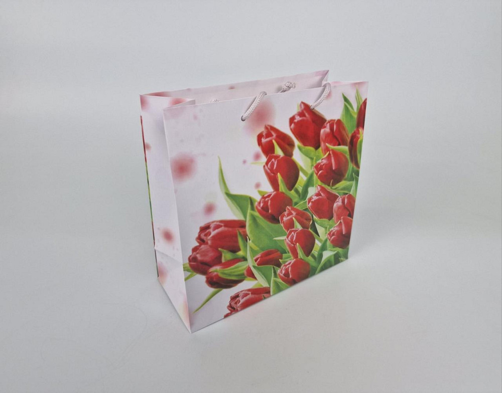 Пакет бумажный подарочный квадратный 23*24*10(артKV-056) (12 шт) Харьков - изображение 1