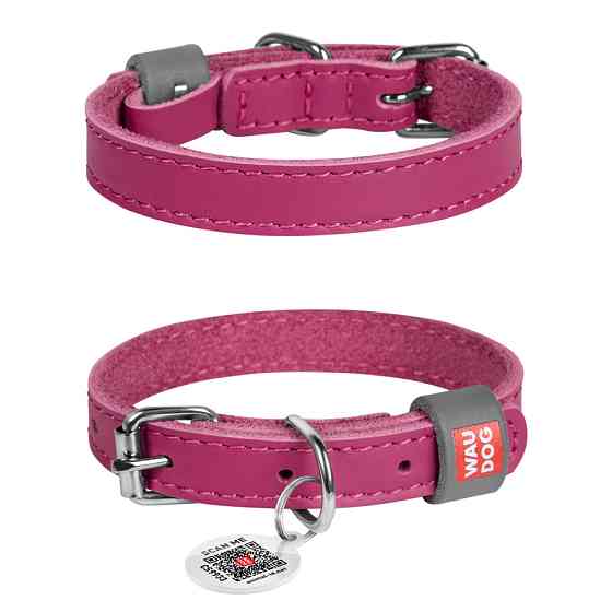 Нашийник для собак шкіряний WAUDOG Classic, Ш 12 мм, Дов 19-25 см рожевий Коломия