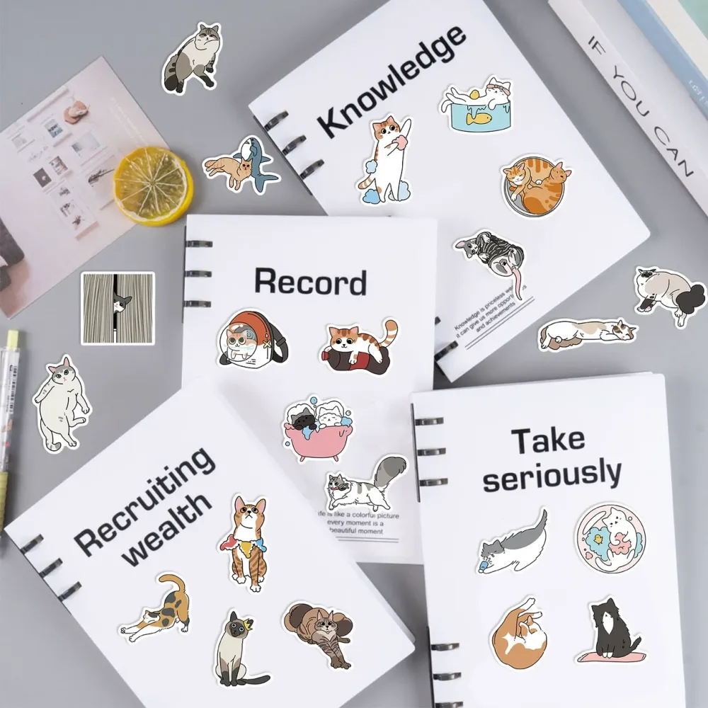 Набор виниловых наклеек 