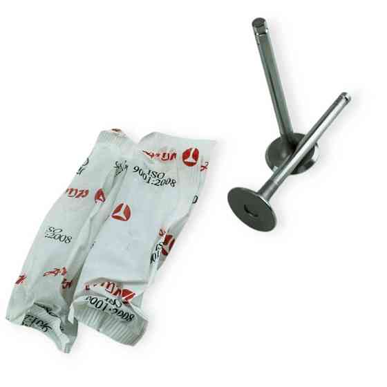 Клапана Сенс амр польша впуск (pzaz003) AMP таврія, Мукачево