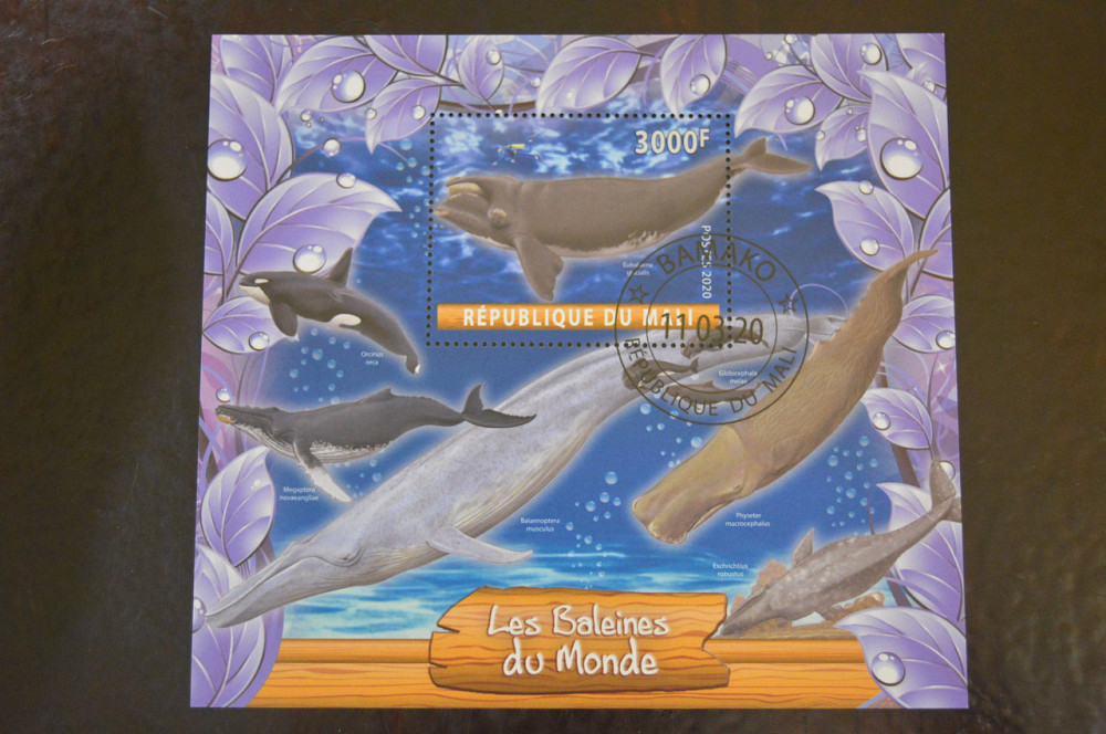 Малі. Марки. Фауна. Блок. 2020 рік (В-4) Полтава - фото 1