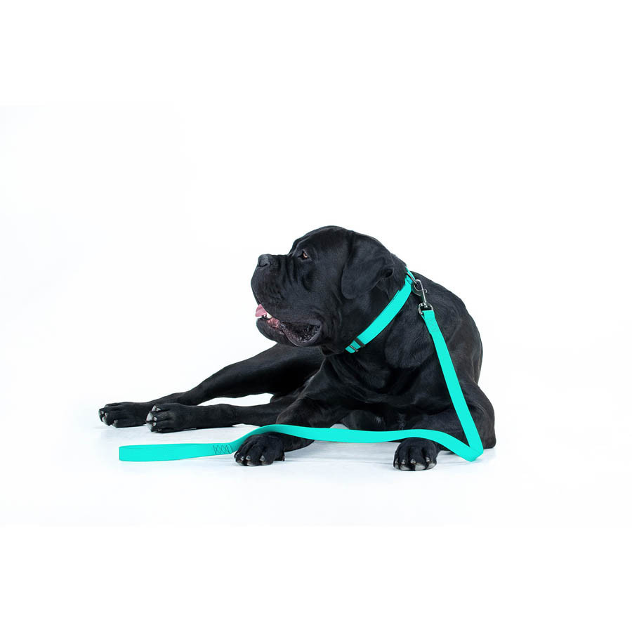 Повідець для собак водостійкий WAUDOG Waterproof, світонакоплювальний, L-XXL, Ш 25 мм, Дов 183 см Київ - фото 7