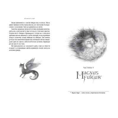 Книга Вершники дощу - Катерина Штанко А-ба-ба-га-ла-ма-га (9786175853887) Вінниця