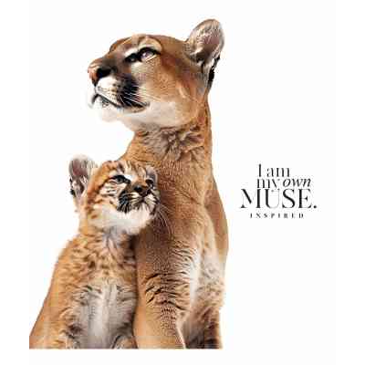 Зошит Школярик Main portrait 96 аркушів клітинка (096-3476K) Вінниця