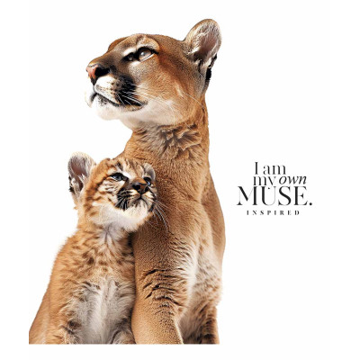 Тетрадь Школярик Main portrait 96 листов клетка (096-3476K) Винница - изображение 3