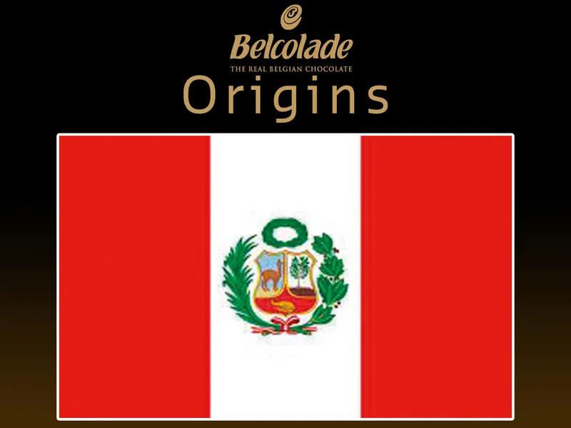 PERU 64 Павлоград - изображение 2