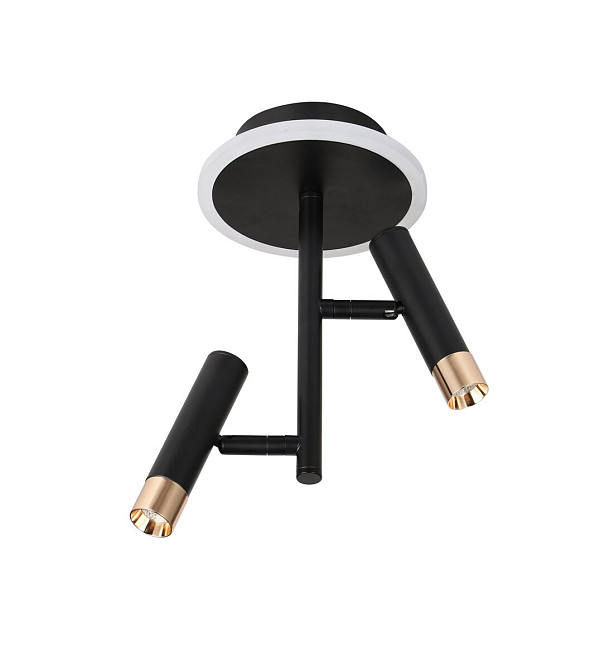 VALESO Стельовий світлодіодний світильник G 2917/2 16W Чорний+Золото Коломия - фото 8