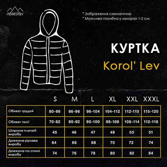 Куртка мужская демисезонная с капюшоном черно-серая Pobedov Korol' Lev Киев