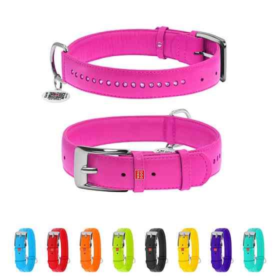 Нашийник для собак шкіряний WAUDOG Glamour з QR паспортом, подвійний зі стразами, S, Ш 15 мм, Д Коломыя