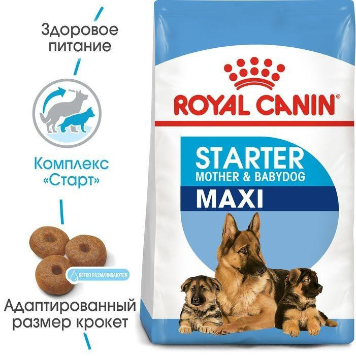 Royal Canin Maxi Starter (Рояв Канін Максі Стартер Мазер Бебідог) корм для великих вагітних і кормових собак 4 кг. Запоріжжя - фото 2