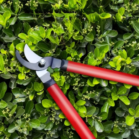 Сучкоріз садовий, секатор для саду і підрізування гілок з довгими 62 см прогумованими ручками, червоний Кам'янець-Подільський