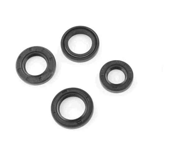 Сальники (набір) мопед Дельта, мотоцикл Альфа, мопед Актив (4шт) 11.6x24x10, /13.7x24x5, /17x29x5, / 18.9x30x5 Мукачево