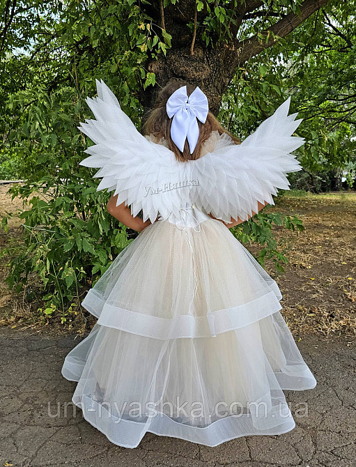 Крила Ангела середні підняті Кривий Ріг - фото 2