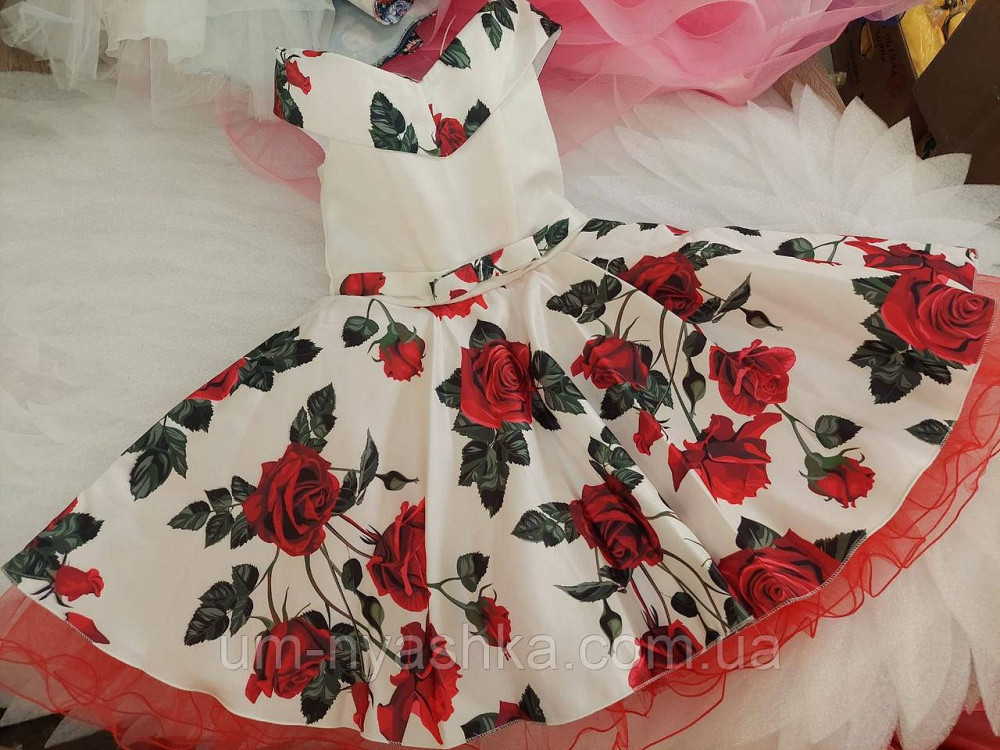 Пишне ошатне плаття в ретро стилі "Стиляги" Кривий Ріг - фото 7