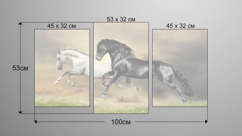 Модульна картина Коні Art-73_3 Київ - фото 3
