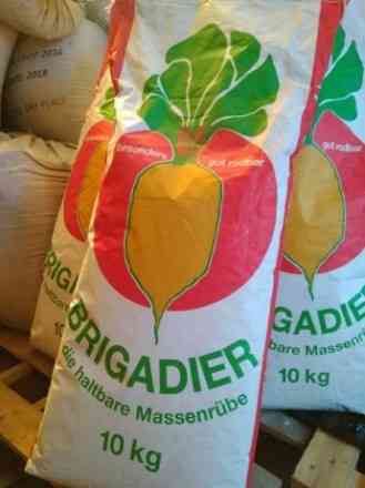 Семена Свеклы (оранжевая) Brigadier Германия 10 кг Винница