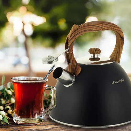 Чайник 3л нержавіюча сталь зі свистком з ручкою 