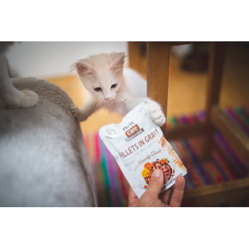 Корм вологий Brit Care Fillets in Gravy Hearty Duck д/котів філе в соусі з качкою 85 г Київ - фото 3