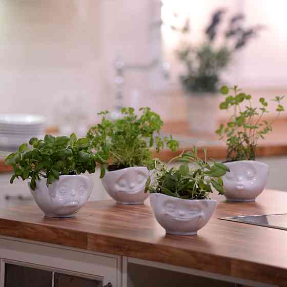 Пиала-салатник фарфоровый Tassen Счастье 500 мл Белый Киев