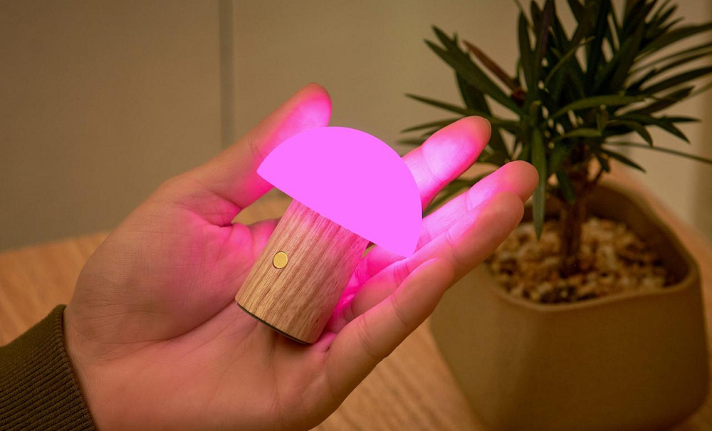 Светильник на аккумуляторе Gingko Alice Mushroom Lamp Mini Белый ясень Винница - изображение 12