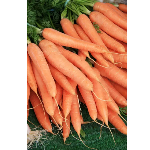 Морква Вітамінна 2гр Смачний Житомир