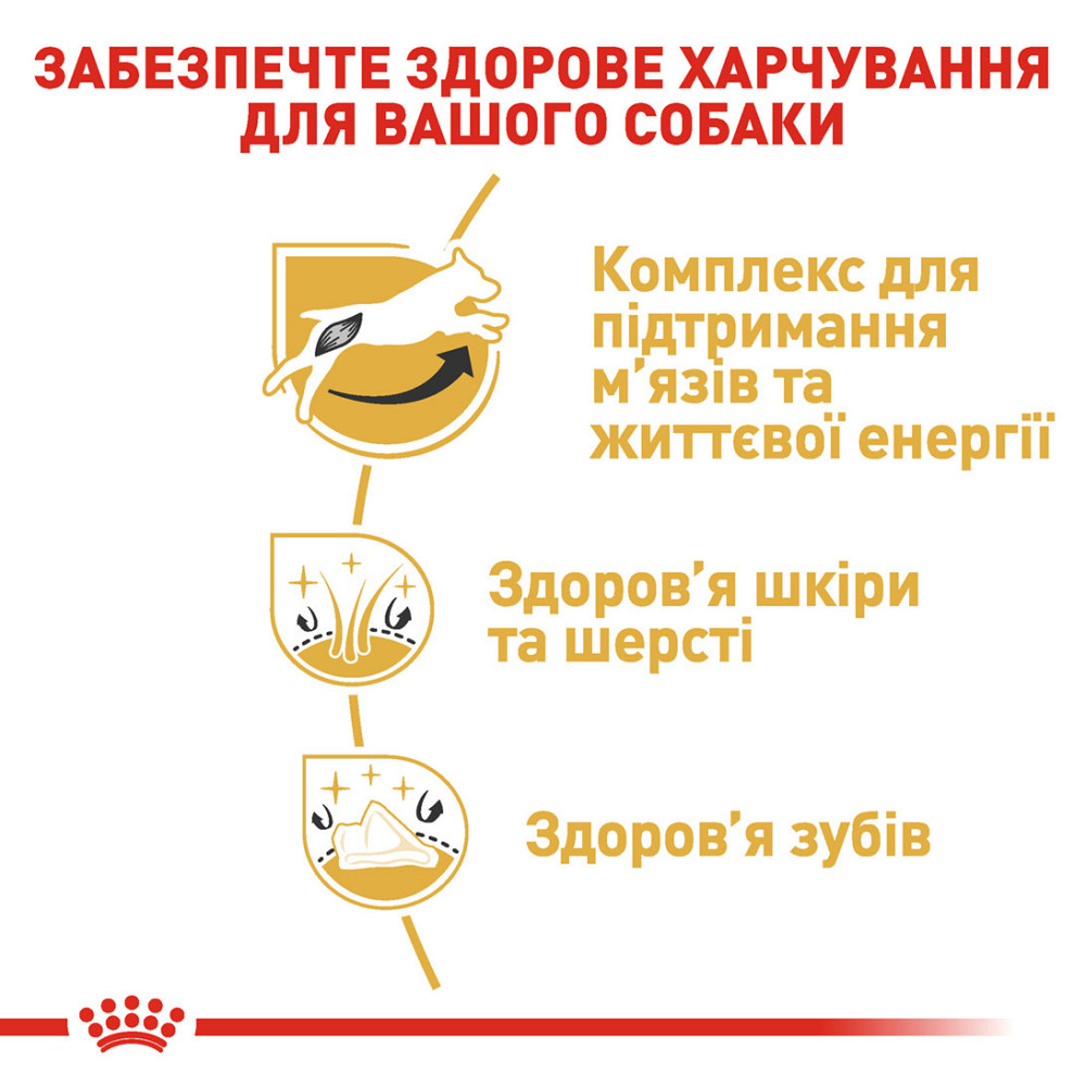 Сухий корм для дорослих собак породи Джек-Рассел-тер'єр ROYAL CANIN JACK RUSSEL ADULT 1.5 кг Київ - фото 5