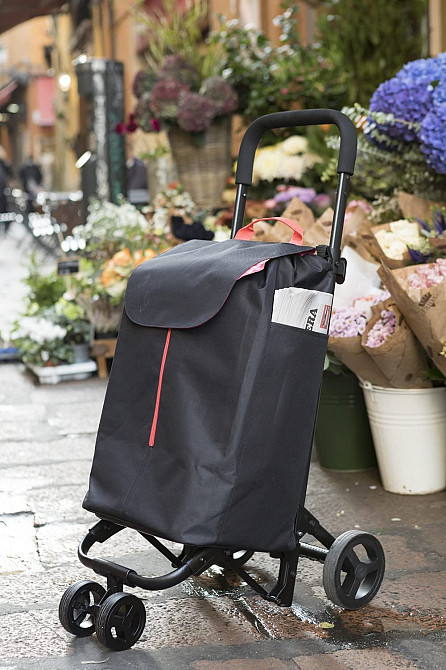 Сумка-тележка Gimi Twin Black (169325) Киев - изображение 10