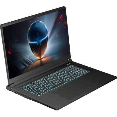 Ноутбук Thunderobot 911 X17 (911X17-i7136H56C1Q165MB) Вінниця