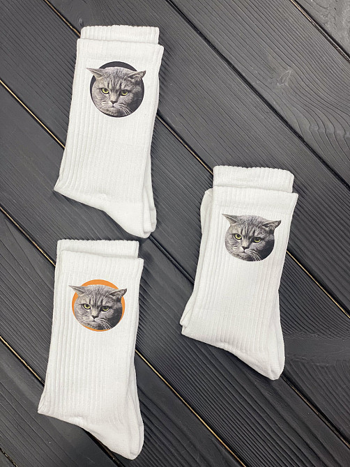 Шкарпетки з вашим домашнім улюбленцем, нанесемо ваше зображення Черновцы - изображение 2